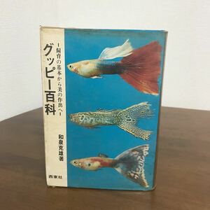 ●稀少・レア●グッピー百科 飼育の基本から美の作品へ/和泉克雄(著)/西東社/昭和46年初版/貴重/古書/観賞魚/小魚/キングコブラ系●1135