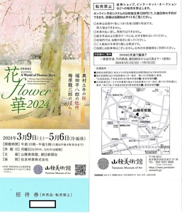 山種美術館【特別展】花・flower・華2024 招待券 1枚(単位) ～3枚迄　5月6日迄有効　奥村土牛の桜・福田平八郎の牡丹・梅原龍三郎のばら