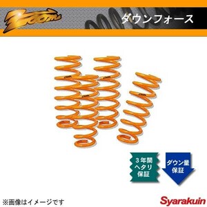 zoom/ズーム ダウンサス ダウンフォース フィリー JAPWE50 ISUZU/イスズ