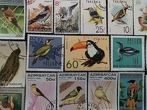 NO.2021 外国切手 コレクション 鳥 約100点 まとめて ☆鳥類 翼 バード bird 羽根 とり トリ 検：インコ オウム スズメ カラス メジロ 