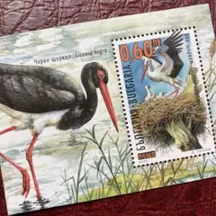 52564セール現品限り　外国切手未使用　ブルガリア発行鳥小型シート