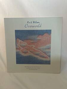 A.R.T. WILSON / OVERWORLD 2014 GERMANY LP PINK VINYL NEW AGE AMBIENT EXPERIMENTAL