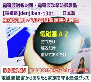 5Ｇ電磁波ノイズ汚染防御グッズ 過敏症対策 有害電磁波中和「電磁番AZ」３点セット・送料無料