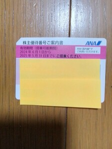 全日空 ANA　株主優待券1枚　有効期限　2024年6月1日～2025年5月31日迄　送料無料