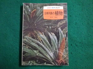 ■日本列島の植物 堀田満 カラー自然ガイド 保育社 1974年■FAIM2021121416■