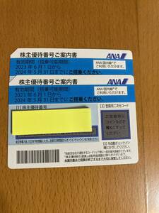 ANA株主優待券　2枚セット　　送料無料　　2024/5/31