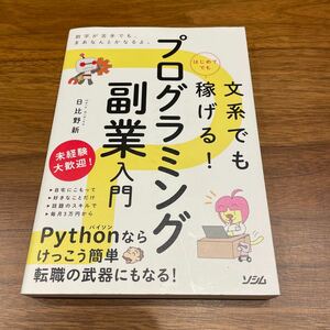 プログラミング副業入門 / 副業 / python パイソン / IT関連 / 日比野新