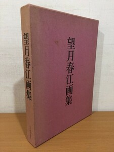 限定600部 シリアルナンバー149 望月春江画集 限定版 日本経済新聞社 1979年