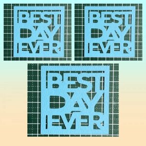 （735C）BEST DAY EVER★カット