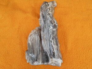 ●秋田産珪化木(木化石)7.2キロ グレー　置物オブジェインテリア原石化石　現状品　M0302たさ 