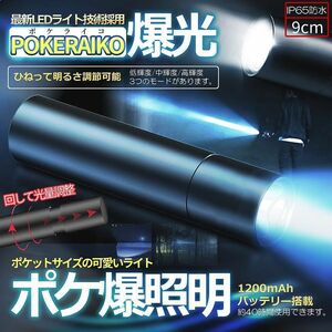 ポケット 懐中電灯 ライト LED 小型 ミニライト USB充電式 led電灯 ハンディ 災害ライト POKERAIKO