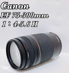 【現状品 1円スタート】CANON キヤノン ZOOM LENS EF ( 75-300mm F4-5.6 Ⅱ ) カメラレンズ EFマウント オートフォーカス