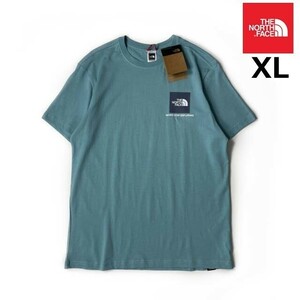 1円～!売切!【正規新品】THE NORTH FACE◆SMALL BOX SS 半袖 Tシャツ US限定 ボックスロゴ 男女兼用 キャンプ 登山(XL)水色 青 180902-20