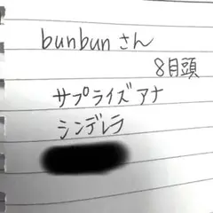 bunbunさん専用、シンデレラ、アナ