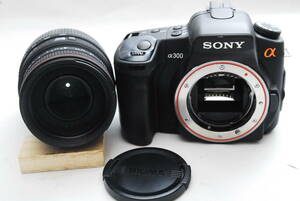 SONY α 300/SIGMA APO DC 70-300mm(良品） 021-10