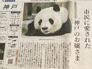 タンタン 市民に愛された神戸のお嬢様　2024年4月4日 神戸新聞 記事 ジャイアントパンダ 神戸 王子動物園 旦旦 まるごと1紙