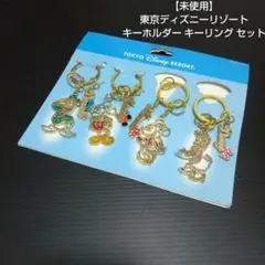 【未使用】東京ディズニーリゾート
キーホルダー キーリング セット