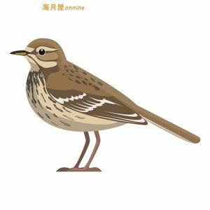 鳥のステッカー　デフォルメtype2　タヒバリ