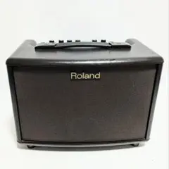 Roland  ローランド　アコースティックアンプ　AC-33-RW