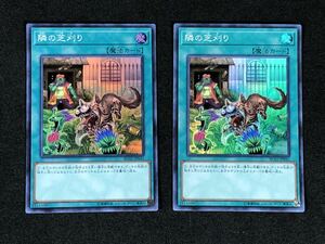 4/19a8 カード 遊戯王カード 2点 KONAMI コナミ 隣の芝刈り RC02-JP041 魔法カード カードゲーム トレーディングカード トレカ