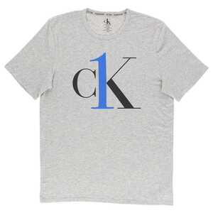 CALVIN KLEINカルバンクライン CK one Graphic Tee グラフィックT コットンクルーネックTシャツ メンズ NM1903 ミドルグレー　海外S(日本M)