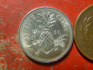 外国・バハマ／５セント白銅貨（1966年）　24041402
