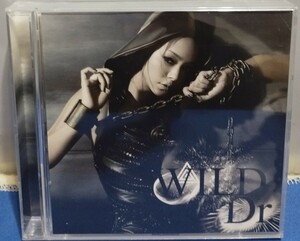 安室奈美恵 WILD CD4曲 DVD2曲 初回限定盤