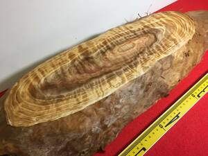 GW特別価格！ 4-2493 材料 銘木屋久杉 世界遺産 逸品 上杢 香木 一部水引きして撮影しております。