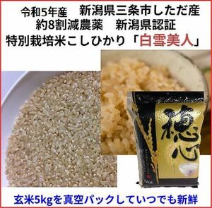 令和5年産　減農薬　新潟こしひかり玄米真空パック5kg　新潟県三条市旧しただ村産　新潟県認証　特別栽培米100% 白雪美人