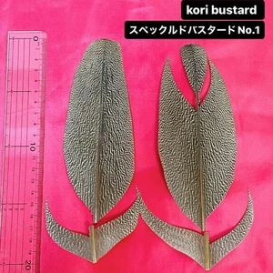 Kori Bustard XL(スペックルドバスタード) No.1 フライフィッシング コーリーバスタード