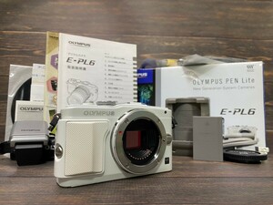 OLYMPUS オリンパス PEN E-PL7 ボディ ミラーレス一眼カメラ 元箱付き #26