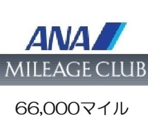 全日空ANA66,000マイル　希望の口座へ加算