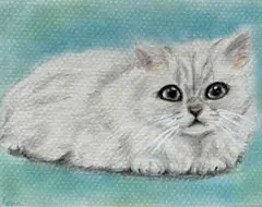 猫　絵画　子猫　イラスト　水彩色鉛筆　油彩色鉛筆　原画　チンチラ　猫ちゃん