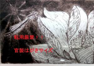 ここでしか手に入りません。＜2023年＞第５７回創展　文部科学大臣賞受賞★秩父のペン画家　吉田迪子作★装飾用複製原画★限定落款印付6