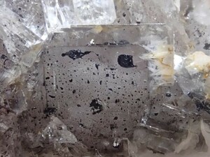 【希少内包】ハイドロカーボン入りフローライト&バライト　重晶石　炭化水素入り蛍石　原石　標本