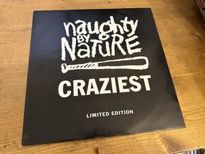 12”★Naughty By Nature / Craziest / クラシック！