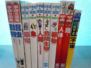 【図鑑】《まとめて10点セット》小学館の図鑑NEO/学研の図鑑/昆虫恐竜/動物/人体/危険生物/人間/魚 他