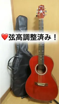 ❤️弦高調整済！「Takamine タカミネ　T-P1 STR 」＋ケース　子供