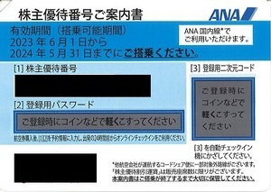 全日空 株主優待券 1枚(通知のみ) 2024年5月末日まで