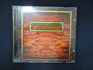 998＃中古CD TRIAD YEARS act I & act II～THE VERY BEST OF THE YELLOW MONKEY/THE YELLOW MONKEY