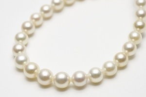 アコヤ真珠パールネックレス　4.0-6.5mm　ホワイトカラー