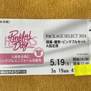 PayPayドーム　5月19日(日) ピンクフルデー　14:00開始　3塁側A指定席　通路側1枚