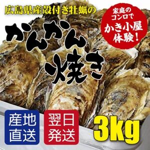 広島産 殻付き牡蠣 訳あり 3キロ(約30個) カンカン焼き カキ かき 宮島 BBQ ナイフ 軍手付 ギフト 取り寄せ