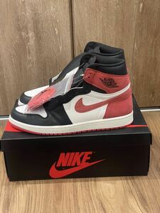 NIKE AIR JORDAN 1 Track Red 29.5cm ジョーダン ナイキ