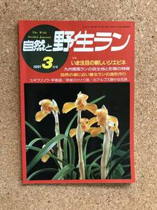 自然と野生ラン 1991年3月号　ジエビネ ウチョウラン 春蘭 富貴蘭 雪割草 ※ 園芸JAPAN