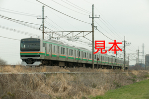 鉄道写真データ（JPEG）、00452067、E231系（臨時快速、おさんぽ川越号）、JR武蔵野線、東川口〜東浦和、2015.03.28、（7360×4912）