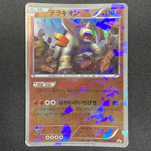 Terrakion 155/BW-P Promo Holo Pokemon Card Japanese 2012 ポケモン カード テラキオン ポケカ プロモ 211222-2