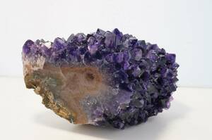 30年前の未使用在庫!フラワーアメジストウルグアイ産/amethyst /紫水晶/アメジスト/フラワー【特大原石854g】