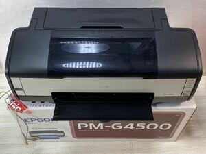 C3DP 動作確認　EPSON Colorio インクジェットプリンター PM-G4500 A3ノビ対応 6色染料インク　インク残量無くなった