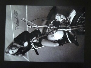 A4 額付き ポスター ブリジットバルドー Brigitte Bardot バイク おしゃれ フォトフレーム 